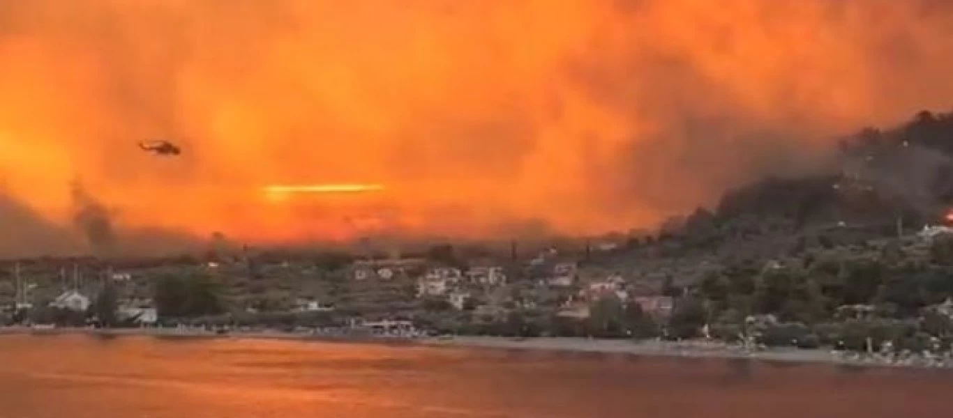 Φωτιά στην Εύβοια: Τεράστιες οι ζημιές - Το 90% της παραγωγικής δραστηριότητας δεν υπάρχει